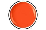 Painting Gel Karotten Orange für fullcover oder One Stroke Technik